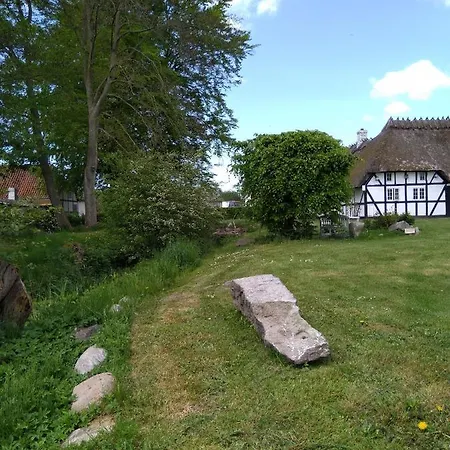 Baekgaarden Bed & Breakfast Lyndelse