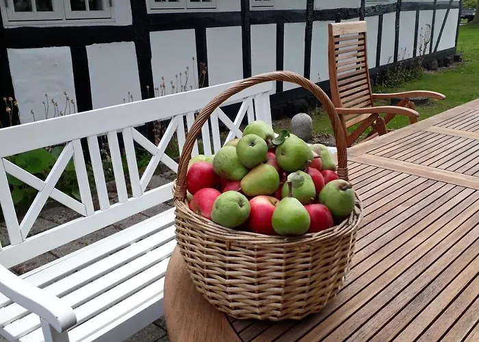 Panzió Baekgaarden 3*