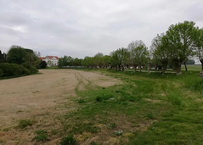 Baekgaarden Lyndelse